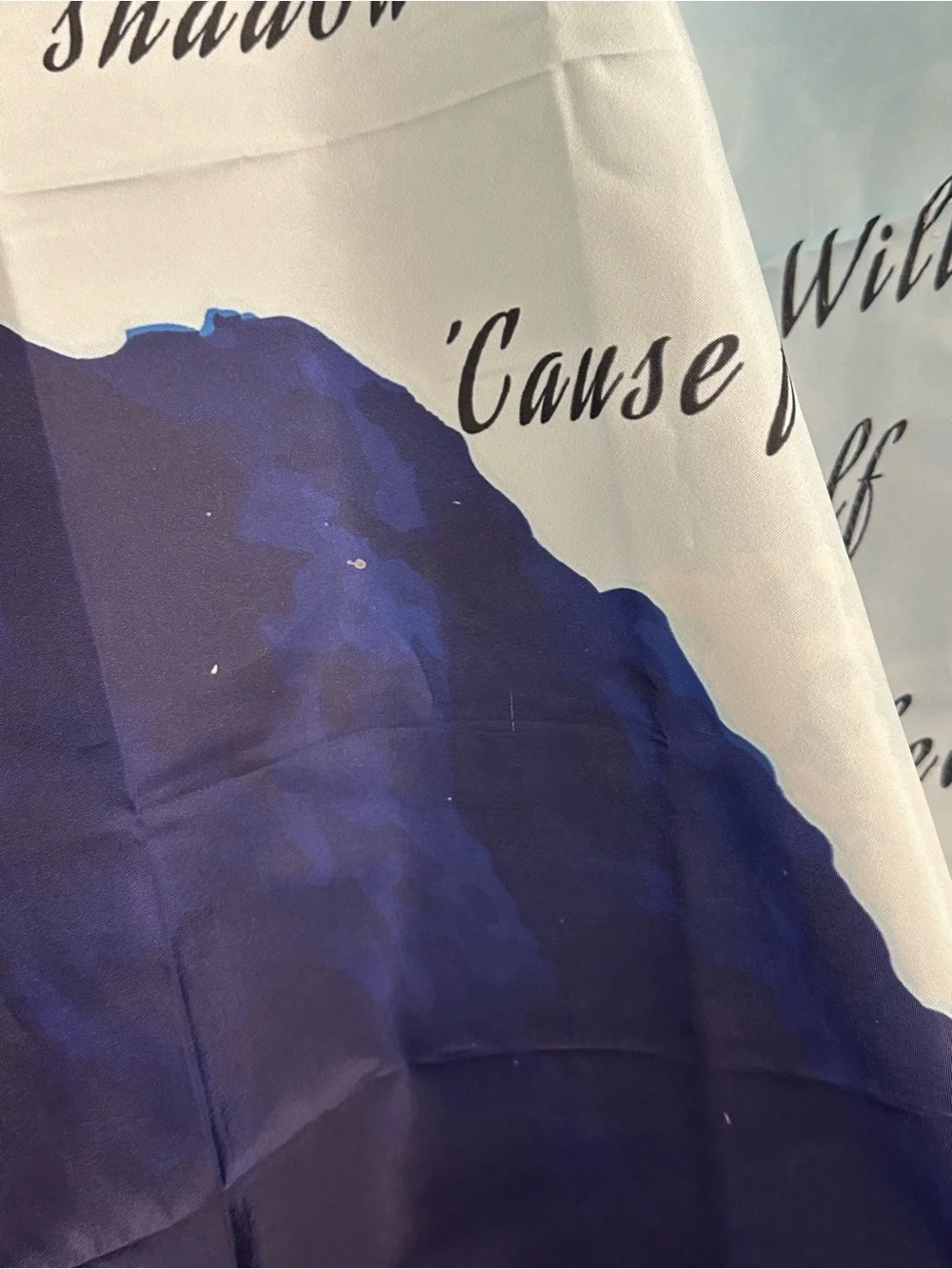 Blue October Fear shower curtain RARE